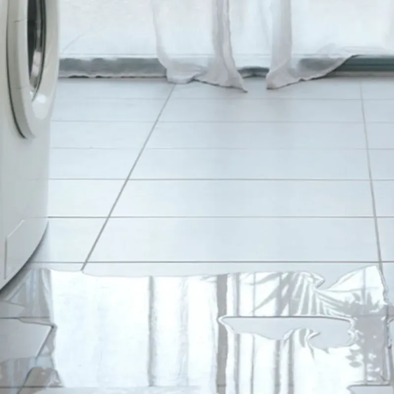 Appliance Leak Cleanup in Center Point, AL