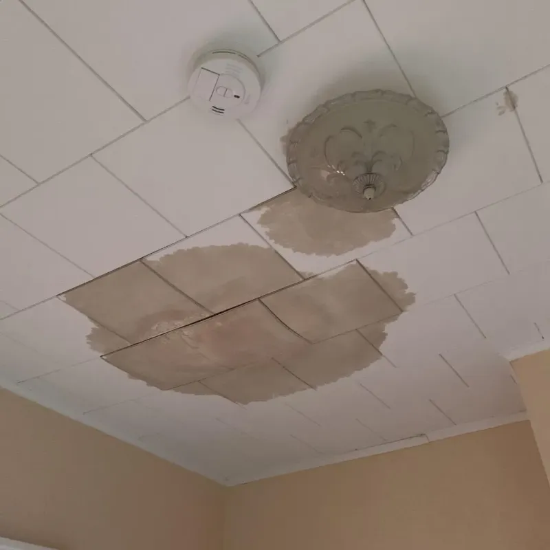 Ceiling Water Damage Repair in Center Point, AL