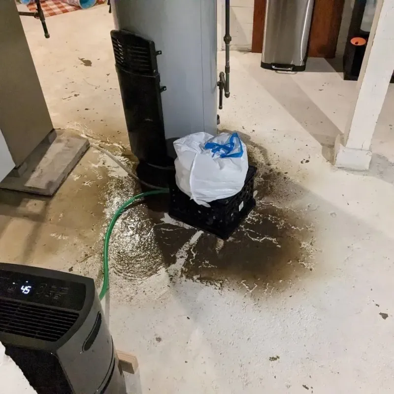 Sewage Backup Cleanup Service in Center Point, AL